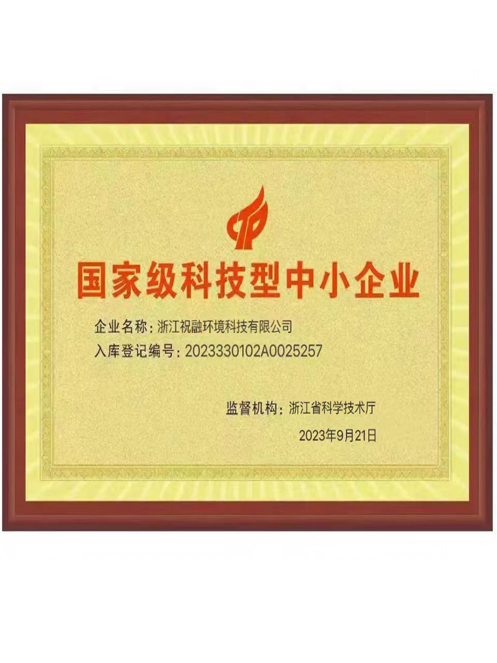 国家级科技型中小企业证书